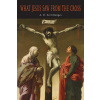 What Jesus Saw from the Cross