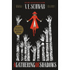 A Gathering of Shadows Collector's Edition