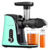 AMZCHEF GM3001-GN pomalý odšťavovač (zelený) GM3001-GN
