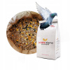 # KRMIVO PRE HOLUBY bohaté zloženie KVALITA - 5 kg # (# KRMIVO PRE HOLUBY bohaté zloženie KVALITA - 5 kg #)