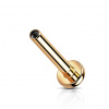 Náhradná titánová labreta s vnútorným závitom 3 mm disk Farba: Rosegold, Veľkosť: 1,2 mm, Délka / Průměr: 6 mm