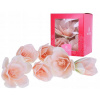 Kvety s oblátkou Rose Decor magnólia 6 ks