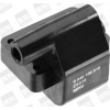 BorgWarner (BERU) Zapalovací cívka ZS518