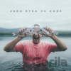 DJ Wich: Jako ryba ve vode - DJ Wich