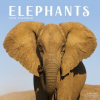 Elephants, 30,5 x 30,5 30,5 x 61 cm 2026