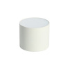 IMMAX NEO LITE RONDATES SMART stropné svietidlo 16,5 cm 32W 2592lm s podporou BEACON, Wi-Fi, TUYA, biele