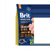 Brit Premium by Nature Junior M 15 kg