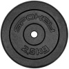 Spokey SINIS Litinový kotouč 29 mm 2,5 kg