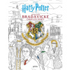 Harry Potter: Oficiální bradavické omalovánky - Paula Hanback Rozelle