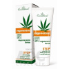 Simply You Pharmaceuticals a.s. Cannaderm REGENERACE regeneračný krém na suchú pokožku 1x75 g 75 g