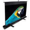 ELITE SCREENS ezCinema Series F100NWH