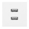 Modul NOEN - zásuvka dát 2xUSB biela OR-GM-9010/W/USBX2 ORNO