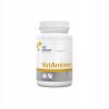 VetExpert pre psov mačky Twist off 60 cps