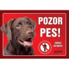 Juko Plastová tabuľa Pozor Pes Labrador hnedý 21 x 14,7 cm