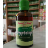 KRYPTOLEPIS kapkúry (tinkta) 50ml | Bylinné kvapky