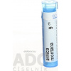 Arnica Montana gra.1 x 4 g 9CH