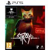 Stray