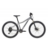 Cannondale TRAIL 27/29
