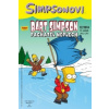 Bart Simpson Pachatel neplech