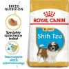 Royal Shih Tzu Puppy 1,5 kg