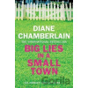 Big Lies in a Small Town - Diane Chamberlainová