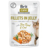 Brit Care Cat Fillets in Jelly with Fine Trout & Cod 85 g