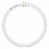 OSRAM LEDVANCE LED T5 FC 22 EXTERNAL P 11.6W 830 2GX13 4099854300806
