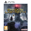 PS5 hra Shadow Labyrinth