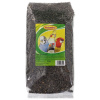 Slnečnica Avicentra čierna 1kg