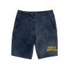 Troy Lee Designs TLD Skyline Trail Short, kraťasy - Washed Out Dark Cloud Veľkosť: 32