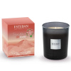 Esteban Paris Parfums ESTEBAN - SVÍČKA INITIAL 180 G - MOKA - terre d´ocre karité