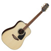 Takamine GD51-NAT