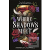 Where Shadows Meet
