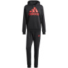 adidas Big Logo Terry Track Suit M IP5553 (190250) Black L