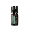 Doterra Smrek čierny (Black Spruce)