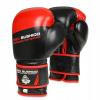 DBX BUSHIDO boxerské rukavice B-2v4 10 oz.