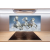 Panel do kuchyne Kone v cvale 100x50 cm