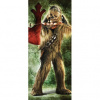 Dverová fototapeta - DV0435 - Star Wars 91cm x 211cm - Samolepiaca fólia