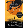 Jež se stala sluncem (Shelley Parker-Chan)