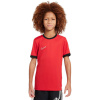 Tričko Nike Dri-Fit Academy 25 SS Jr FZ9758 657 L