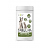 Dromy Spirulina 600 tbl.
