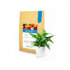Symbiom Algavit 100 g