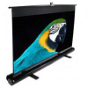 ELITE SCREENS ezCinema Series F84NWH