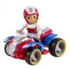 Paw Patrol - PSI PATROL - OBRÁZOK ŽEBRÍKA + ZÁCHRANNÁ ŠTYRDBA