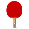 RAKETA NA STOLNÝ TENIS PING PONG HOBBY BEST SPORTING