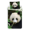 Jerry Fabrics Panda 02 fototlač bavlnené obliečky 140x200, 70x90 cm