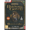 Baldur's Gate II: Shadows of Amn PC