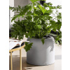 Kvetináč Lechuza Havalo 40 All inclusive set moon grey - sivý 40,8x36,6 cm