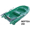 ARMOR NEPTEA 250 - plastová veslica Variant: Zelené