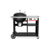 Inteligentný gril na drevené uhlie Performer Premium, 57 cm